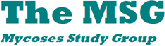 MSG